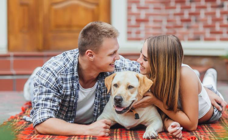 Pies sprawia, że jesteśmy szczęsliwsi w związku! Tak wykazały badania