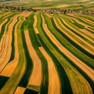 Najpopularniejsza wieś w polskim internecie! Odkryj, co przyciąga tłumy do tej miejscowości 