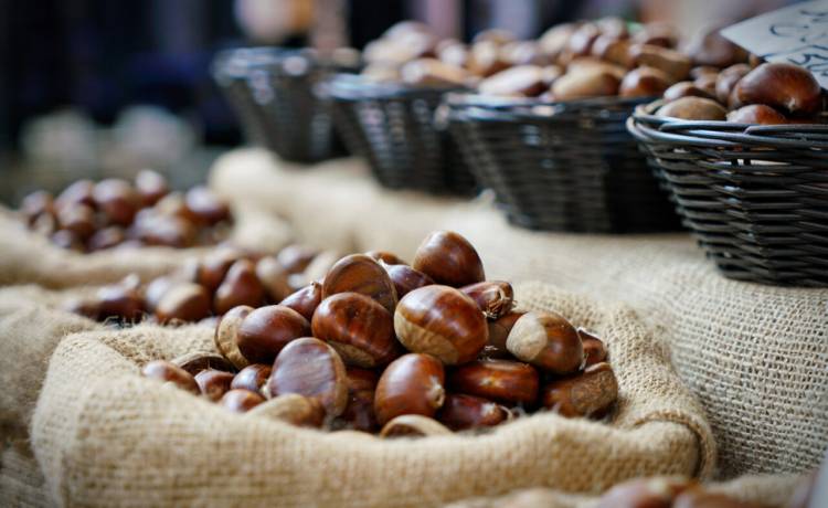 Nie tylko do robienia ludzików! Jak wykorzystać kasztany? Podpowiadamy