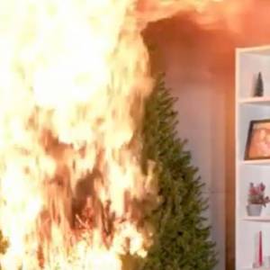 Ile pali się choinka? Wystarczy nieco ponad minuta, by ze świątecznego drzewka nic nie zostało! [WIDEO]