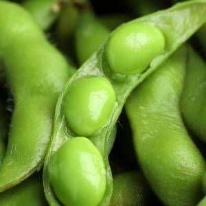 To warzywo może zastąpić jajka w twojej diecie! Nie uwierzysz, ile ma białka 