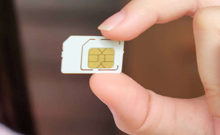 zdjęcie ilustracyjne, fot. Shutterstock/apveanz