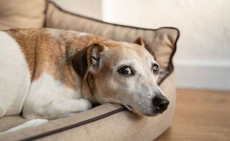 fot. shutterstock.com 