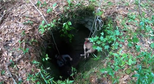 Spacerujący po lesie mężczyzna usłyszał pisk. Uratował uwięzionego w pułapce psa! [WIDEO]