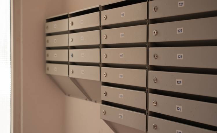 Specjalna przesyłka od rządu – sprawdź, co znajdziesz w swoim domu, fot. Shutterstock