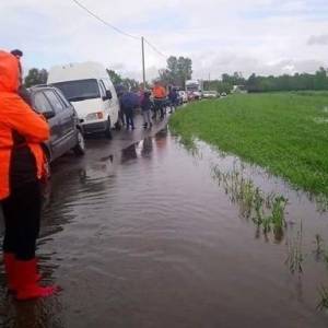 "Wszystkie psy są bezpieczne"! Sukces akcji ratowania zwierząt z zalanego schroniska!
