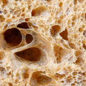 Ukryty niszczyciel. Rozpuszcza barierę ochronną, wywołuje ciche zapalenie