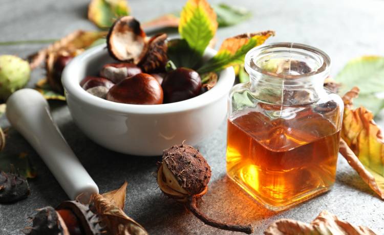 Nalewka z kasztanów, fot. Shutterstock