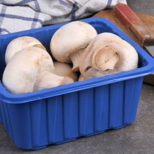 Trzymasz pieczarki w pojemniku ze sklepu? Lepiej tego nie rób