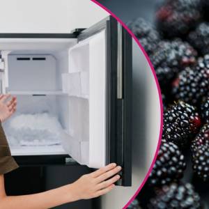 Jak prawidłowo mrozić jeżyny? Podpowiadamy!