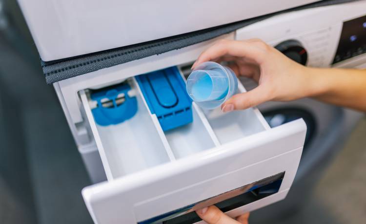 fot. shutterstock.com