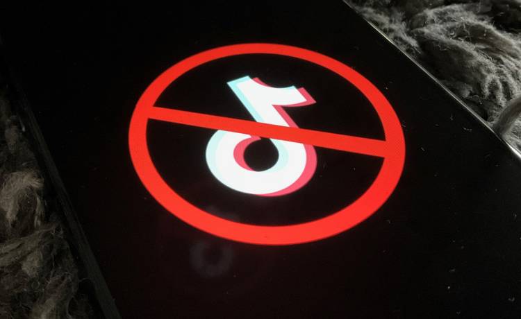 TikTok, fot. Shutterstock/Fluna NightEtJ