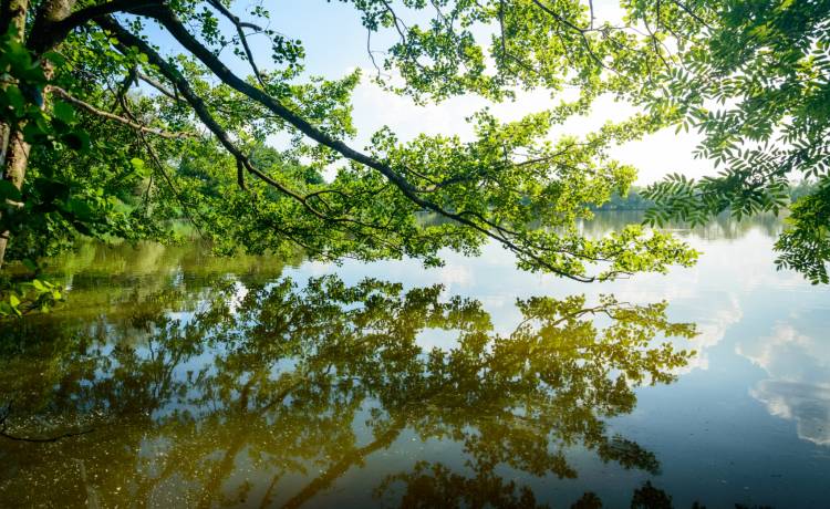 Skażenie w Dolinie Baryczy. Sytuacja rzeki jest dramatyczna