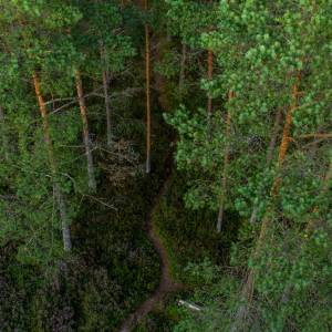 Miłosne uniesienie na wieży widokowej. Nagranie trafiło do sieci, sprawę bada prokuratura