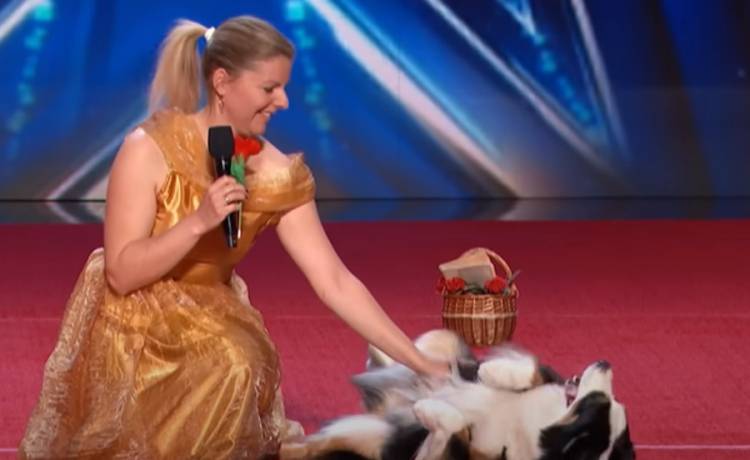Widzieliście kiedyś tańczącego owczarka? Nagranie to hit! Fenomenalny pokaz rozczulił jurorów "Mam Talent" [WIDEO]