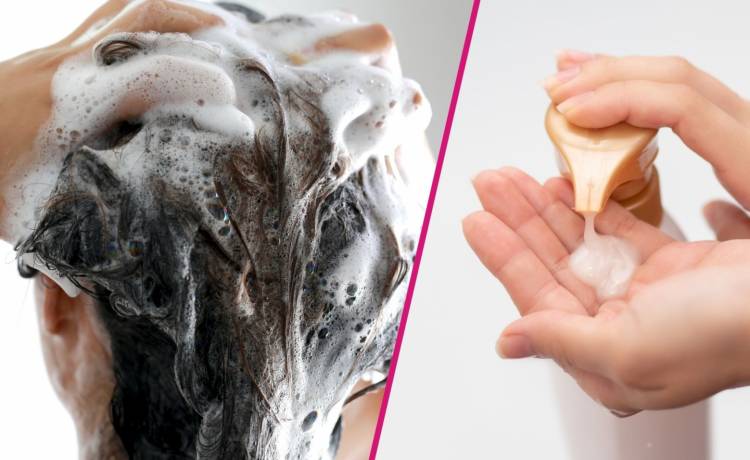 fot. shutterstock.com