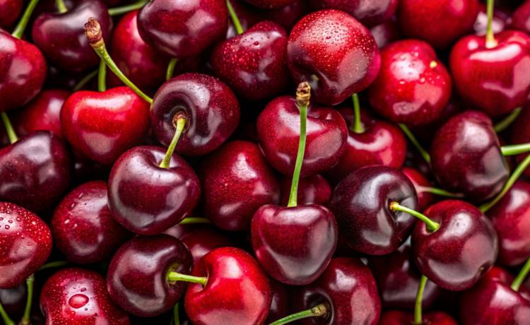 zdjęcie ilustracyjne, fot. Shutterstock/From_With_Love