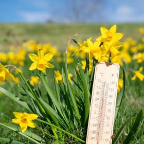 W weekend wyciągniemy grille, ale Wielkanoc nas rozczaruje. Znamy najnowsze prognozy