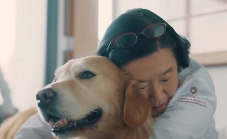 Amerykańscy lekarze uratowali życie jego psa. Wdzięczny właściciel wykupił im reklamę na Super Bowl za 6 mln dolarów                                                                    