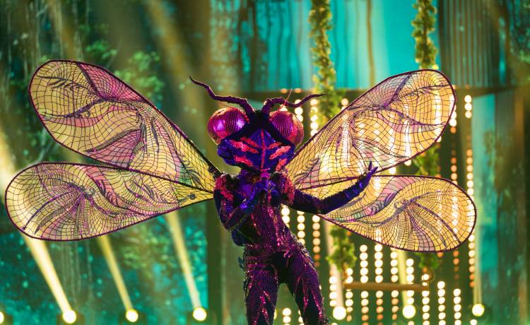 "Mask Singer". Widzowie odkryli tożsamość Ważki? To nazwisko pada najczęściej