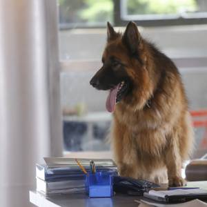 Już nie Łódź. Zaskakująca decyzja ws. „Komisarza Alexa” 