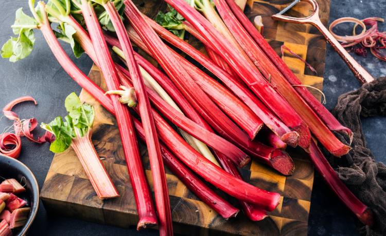 Fenomenalne ciasto z rabarbarem. Ewa Wachowicz zdradziła najlepszy przepis