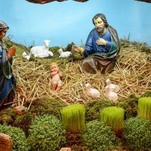 Boże Narodzenie 2020  i msza święta. Gdzie oglądać w TV i online?                                                         