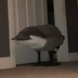 Synek co noc przychodził do jej sypialni. Zobacz, co zrobiła za to dziecku! [WIDEO]