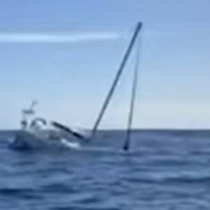 Jacht kontra orki. Zwierzęta zatopiły maszynę i zmusiły załogę do ucieczki [WIDEO]