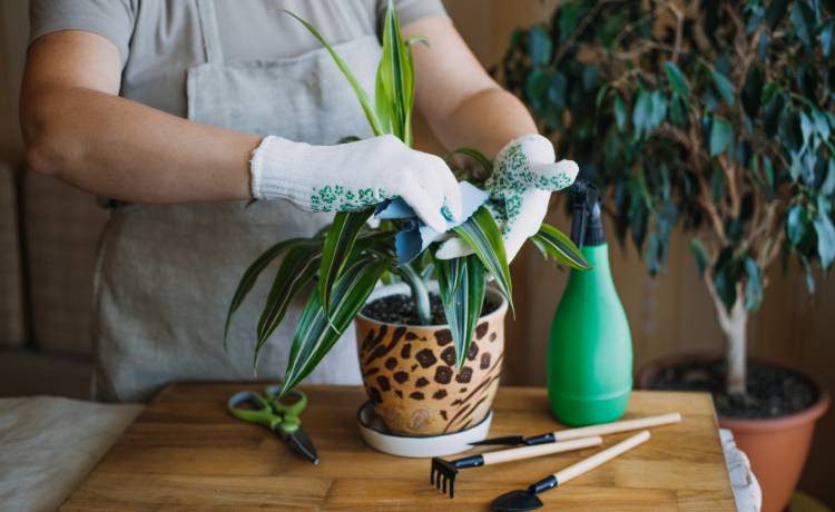 fot. shutterstock.com