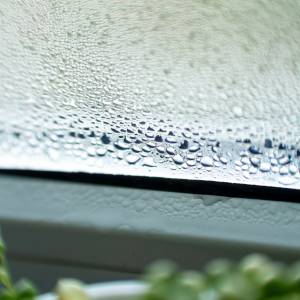 Co położyć na parapecie, żeby nie było wilgoci na oknach? To najlepszy sposób