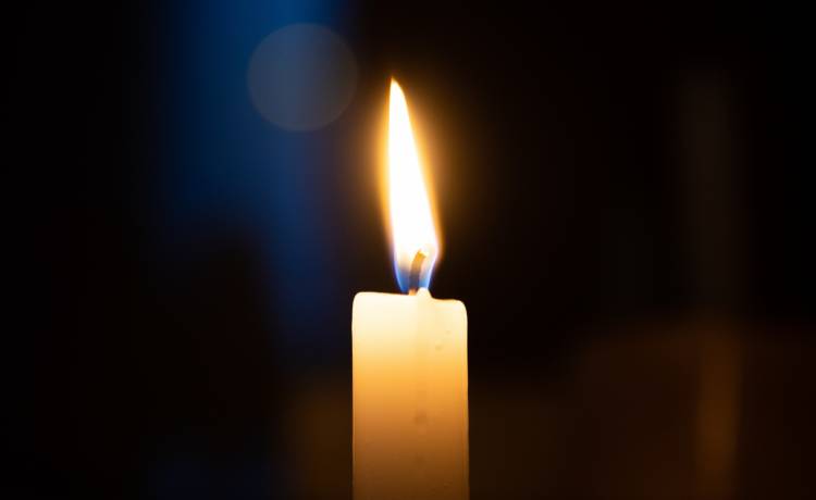 Asia Tsyhankova/Shutterstock