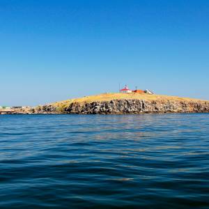 Bronili Żmijowej Wyspy. Rosjanie usłyszeli od nich kultowe już zdanie [FILM +18]