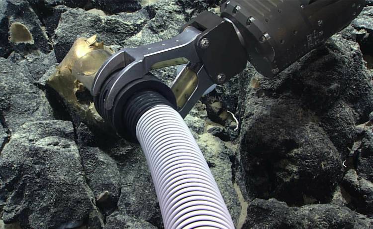 fot. NOAA Ocean Exploration/Cover Images/East News