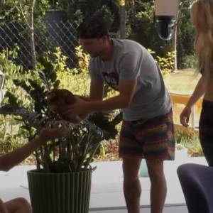 "Big Brother". Kury nie przeżyły pobytu w programie. Wielki Brat winą za śmierć obarcza uczestników