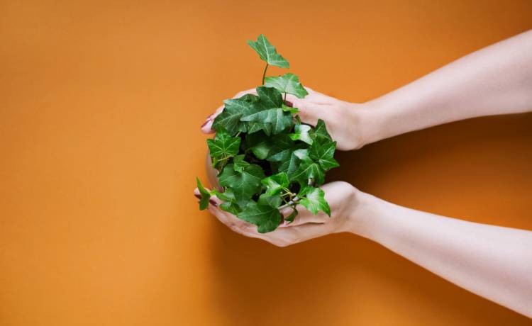 fot. shutterstock.com 