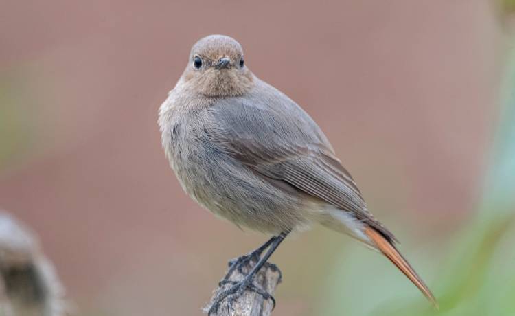 fot. shutterstock.com