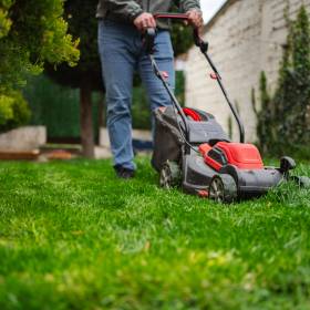  Kiedy najlepiej skosić trawnik na wiosnę? Ekspert radzi, jak nie popełnić błędu!