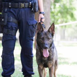 Policjant z ogromnym sercem dla zwierząt. Jest jak Dr Dolittle komendy ostrowskiej! [ZDJĘCIA]