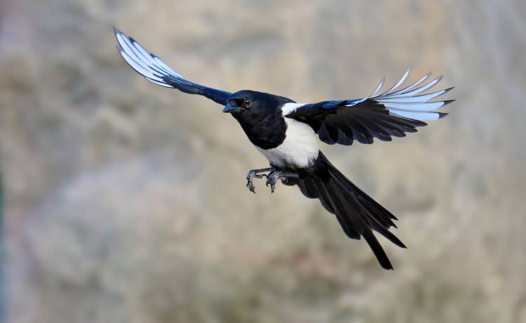 fot. shutterstock.com