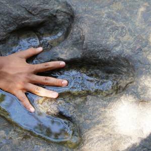 4-latka znalazła na plaży odcisk dinozaura sprzed 220 mln lat! Zdjęcie nietypowego znaleziska trafiło do sieci 