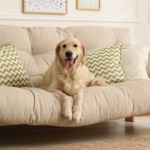 "Klub Zwierzaka" w popularnej drogerii. Jakie zmiany przygotowała sieć dla właścicieli psów i kotów?