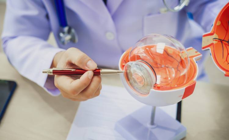 fot. shutterstock.com