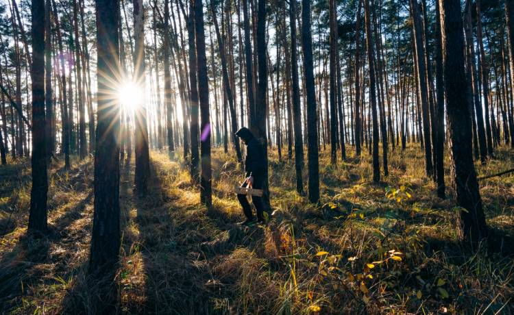 Nagi mężczyzna z maską na twarzy w lesie. Może być niebezpieczny. Policja przestrzega