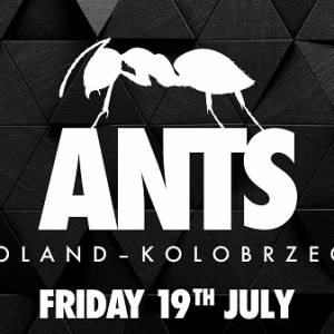Sunrise Festival 2019: Poznaliśmy gwiazdy sceny ANTS! 