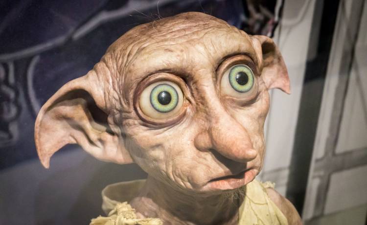 Pamiętacie Zgredka z "Harry’ego Pottera"? Nie zgadniecie, jakie zajęcie wymyślili mu teraz filmowcy!