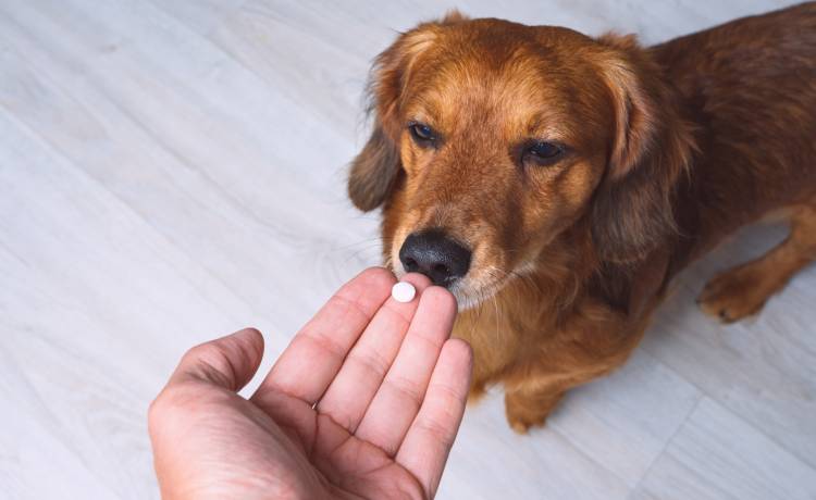 fot. shutterstock.com