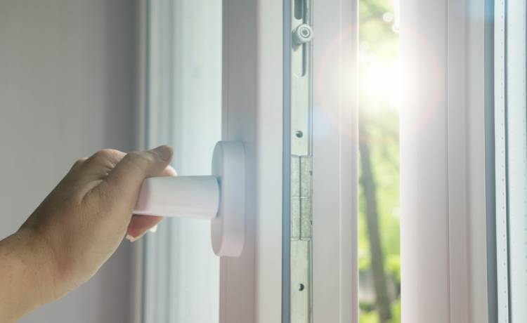 Domowy lep na muchy? Sprawdź, jak go wykonać!                                       