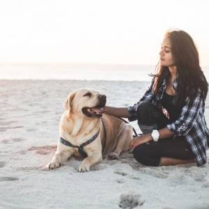 Potcake Place: Wyspa na Karaibach rajem dla bezdomnych psów                                           