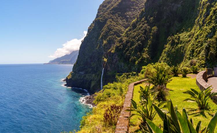 Madera, fot. Shutterstock